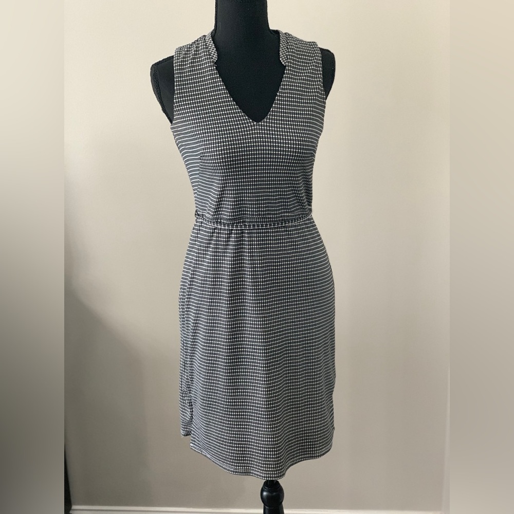 Ann Taylor Petite Dress
